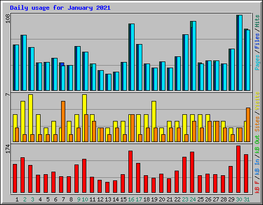 Daily usage for January 2021