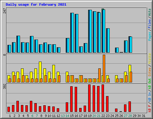 Daily usage for February 2021