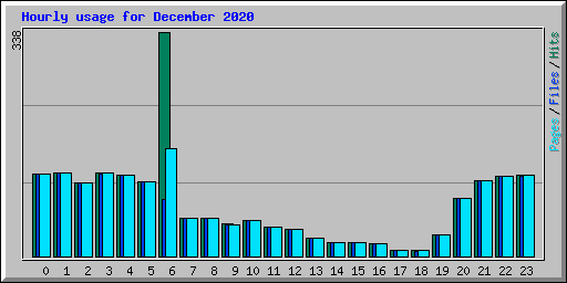 Hourly usage for December 2020