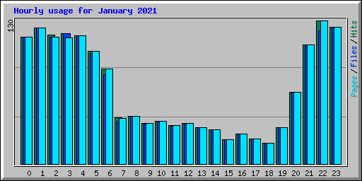 Hourly usage for January 2021