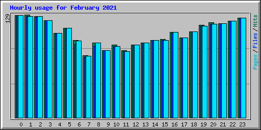 Hourly usage for February 2021