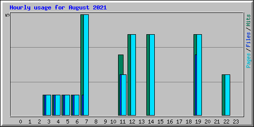 Hourly usage for August 2021