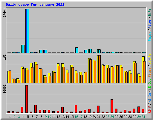Daily usage for January 2021