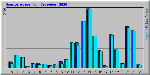 Hourly usage for December 2020