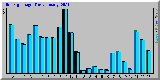 Hourly usage for January 2021