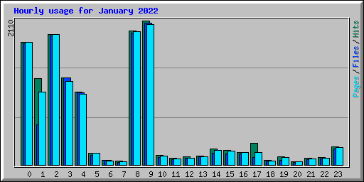 Hourly usage for January 2022