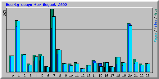 Hourly usage for August 2022