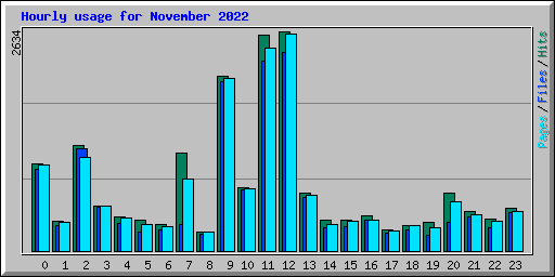 Hourly usage for November 2022